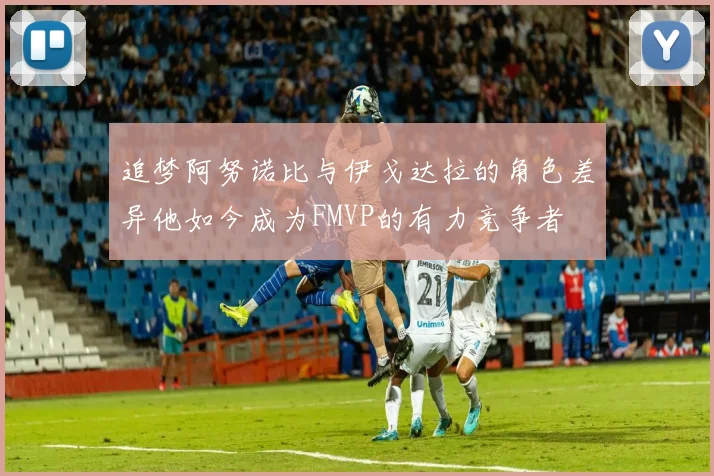 追梦阿努诺比与伊戈达拉的角色差异他如今成为FMVP的有力竞争者