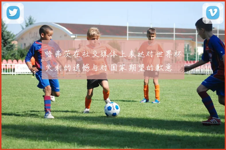 哈弗茨在社交媒体上表达对世界杯失利的遗憾与对国家期望的歉意