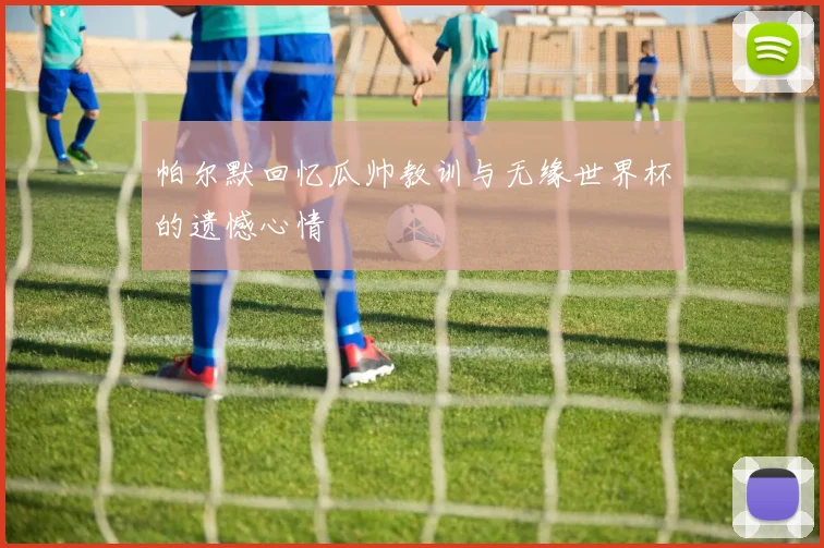 帕尔默回忆瓜帅教训与无缘世界杯的遗憾心情