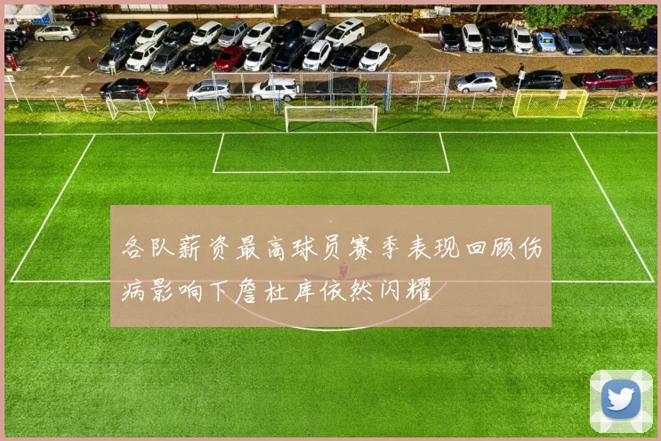 各队薪资最高球员赛季表现回顾伤病影响下詹杜库依然闪耀